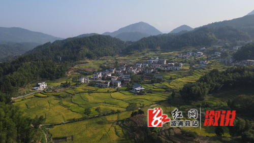 DJI_0065好.MP4_snapshot_00.01.934.jpg