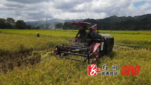 DJI_0316好 (2).MP4_snapshot_00.09.683.jpg