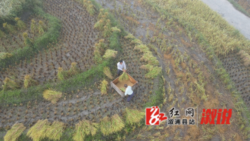 DJI_0208.MP4_snapshot_00.02.211.jpg