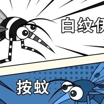 健康科普｜蚊子最大的天敌是什么？教你5个防蚊妙招，很实用