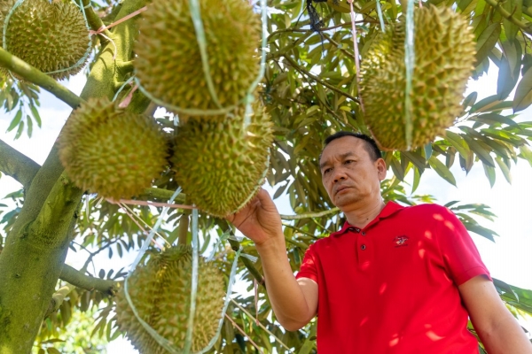 闯东盟·丝路上的湘商丨邵商在老挝：闯世界去，回家乡来