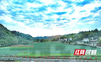 沅陵莲花池村：学习“千万工程” 护住乡土 留住乡愁 造福乡亲