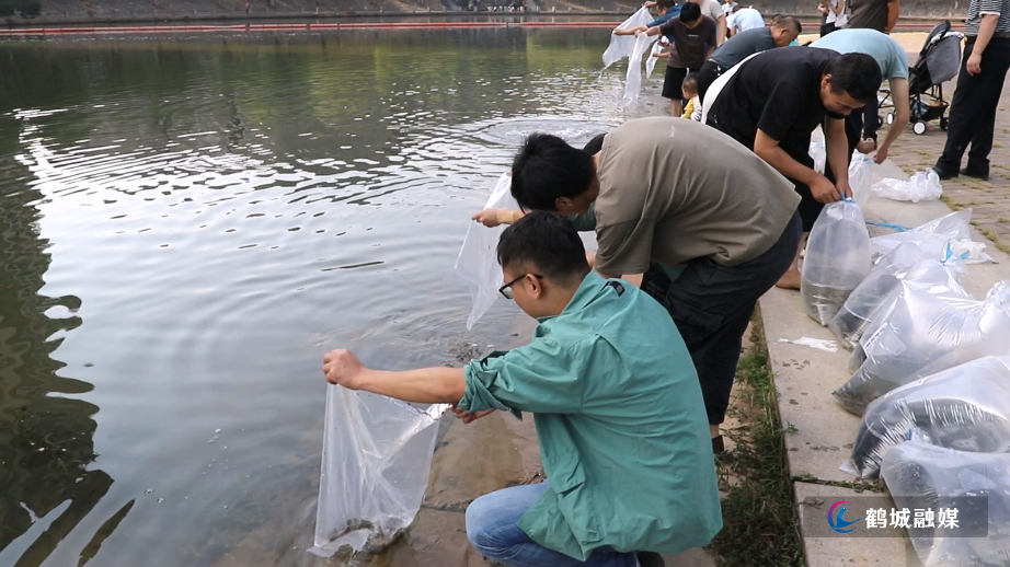 鹤城区：开展增殖放流 130多万尾鱼苗游入舞水河.mp4_20240926_163117.388.jpg