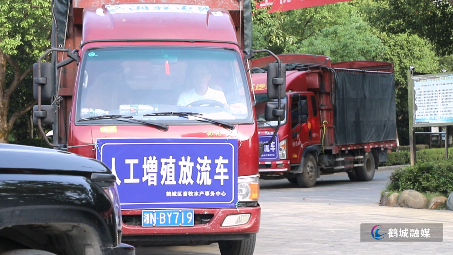 鹤城区：开展增殖放流 130多万尾鱼苗游入舞水河.mp4_20240926_163005.820.jpg