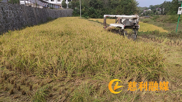 0dc1c573-21b2-4b1e-835c-1f2a184650b4_副本.jpg
