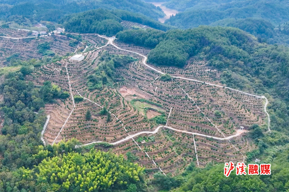 DJI_0456.MP4_20240927_171347.826.jpg