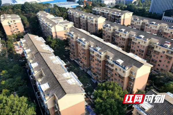 3125.jpg 3125.jpg