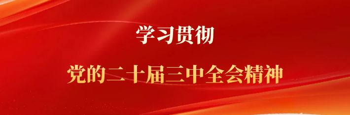 专题丨学习贯彻党的二十届三中全会精神