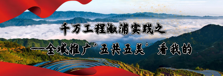 千万工程溆浦实践之——全域推广'五共五美’看我的