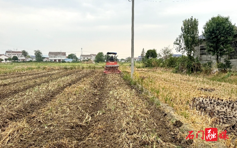 冉家坪村开展耕地治理,助力油菜增产丰收1.jpg 冉家坪村开展耕地治理,助力油菜增产丰收1.jpg