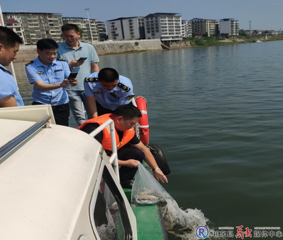 w_微信截图_20241008090616.png