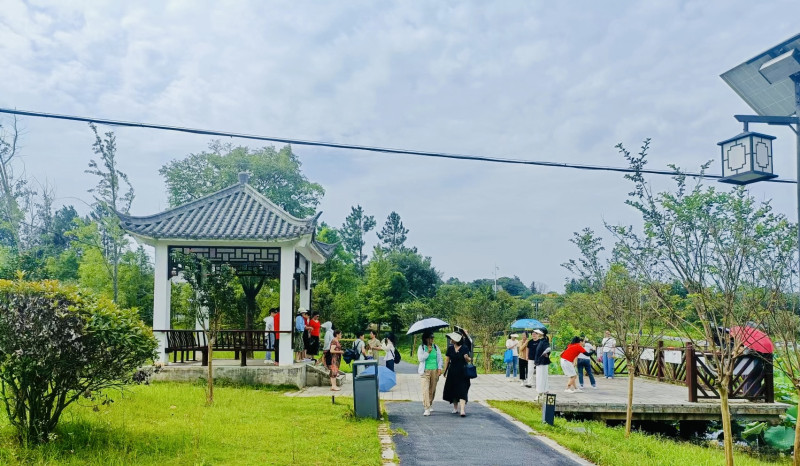 鄉(xiāng)村小公園假期里成為近郊游新熱門。