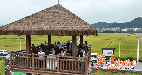宁远:十里稻香“丰”景美2_副本500.jpg 宁远:十里稻香“丰”景美2_副本500.jpg