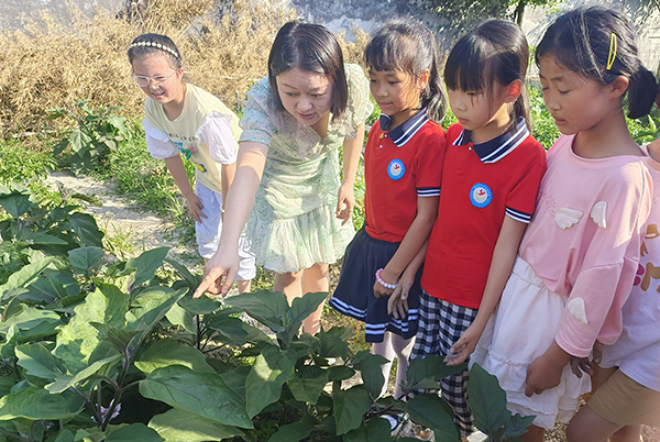 银瓷3老师指导学生观察茄子的生长过程.jpg