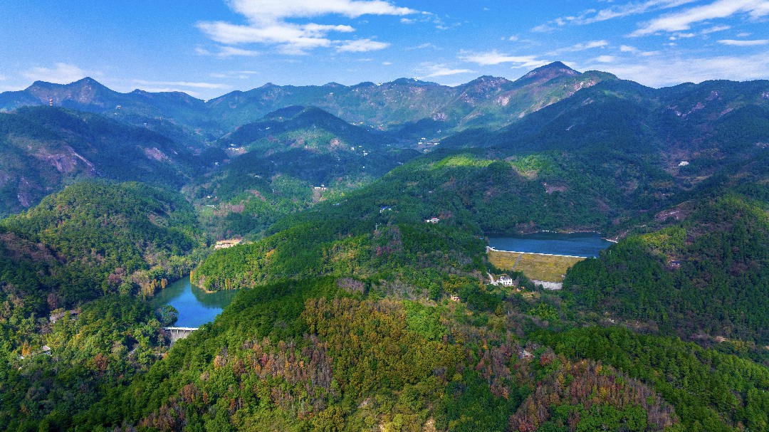 生态环境持续改善 崇安髭蟾首次现身南岳衡山