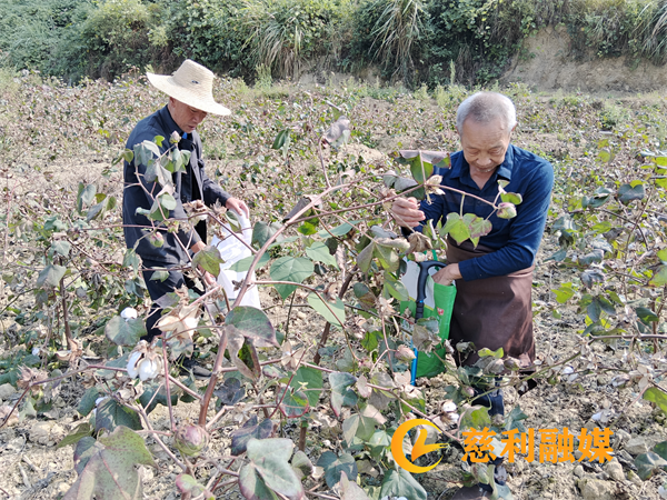图片1(34).png 图片1(34).png