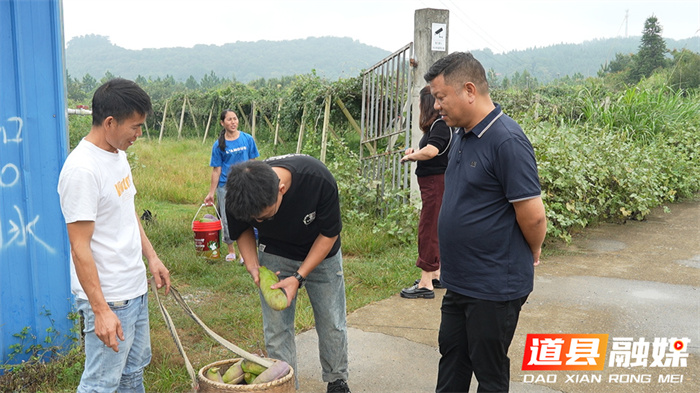 道县良木洞村：党建引领强基础 产业发展促振兴1_副本.jpg