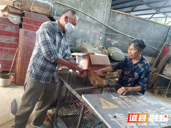 道县东门街道：做好秋季动物防疫 守护“舌尖上”安全1_副本.png