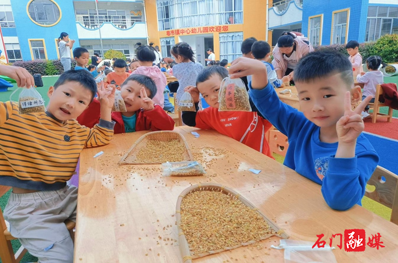 石门县皂市镇中心幼儿园秋日趣味探索:遇见珍“桂”,留下珍贵2.jpg 石门县皂市镇中心幼儿园秋日趣味探索:遇见珍“桂”,留下珍贵2.jpg