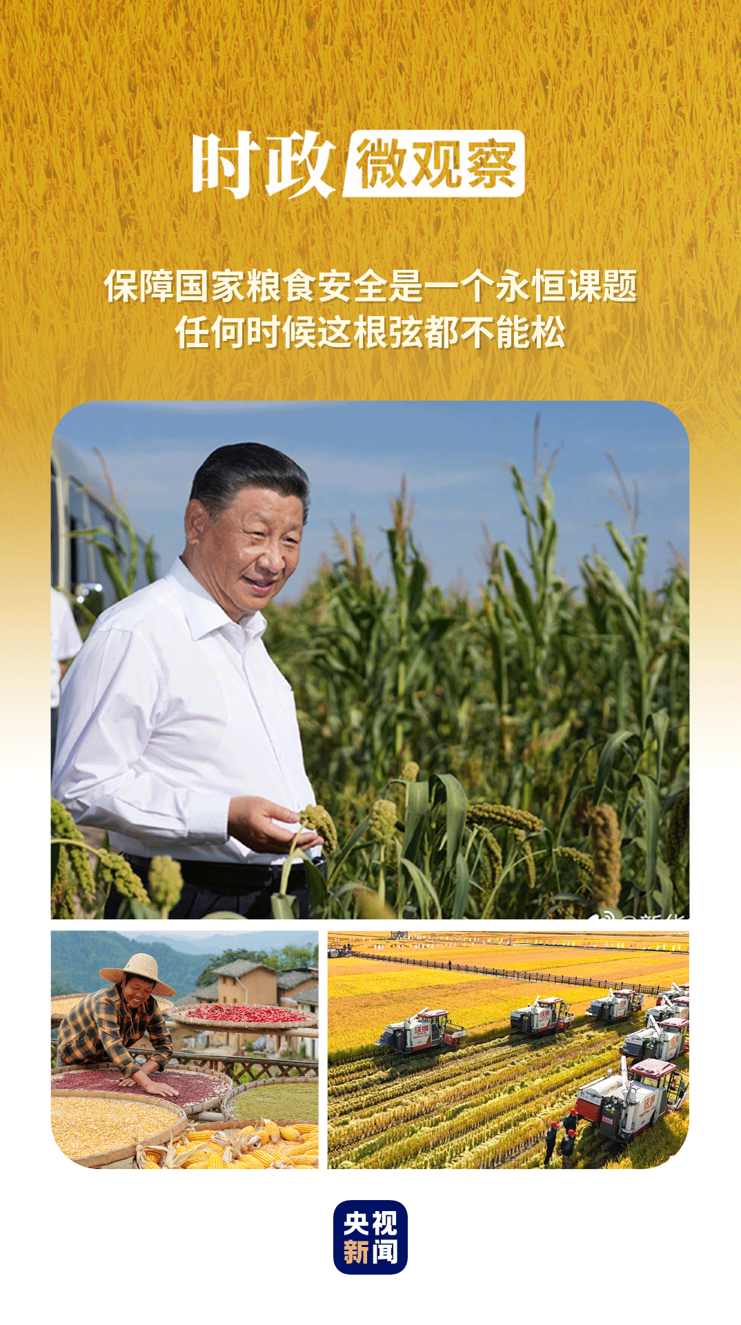 时政微观察丨粮稳天下安_习近平报道集_湖南红网新闻频道