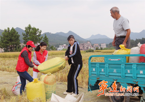 宁远：宣讲入田头 助农暖心头_副本500.jpg