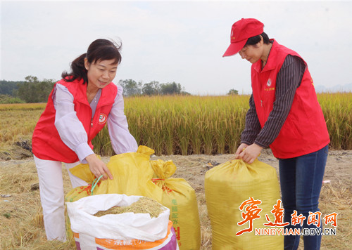 宁远：宣讲入田头 助农暖心头2_副本500.jpg
