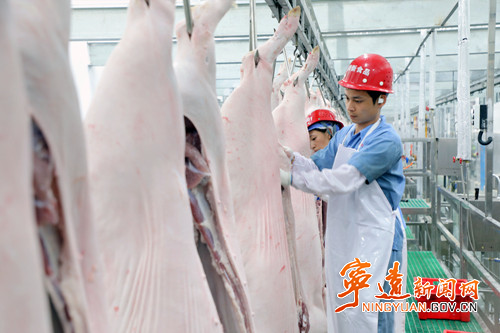 宁远：完善生猪产业链 变生猪调出大县为猪肉调出大县_副本500.jpg