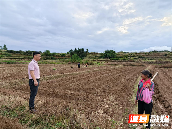 道县白马渡镇：油菜秋种正当时 绘就来年好“丰”景1_副本.png