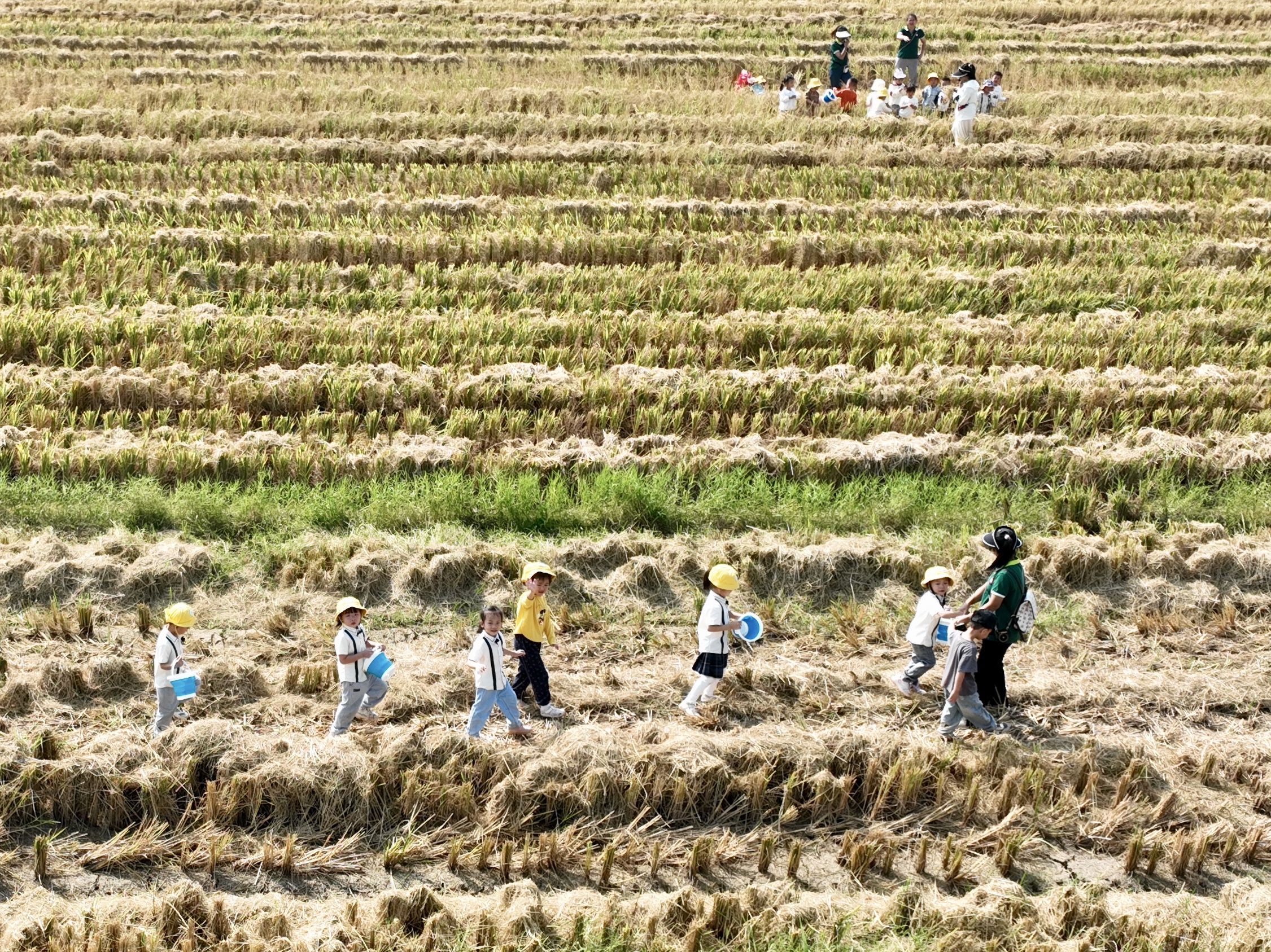 粮食节约和反食品浪费