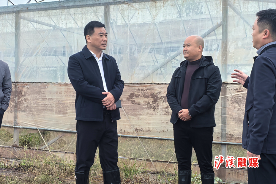 微信图片_20241022172003.jpg