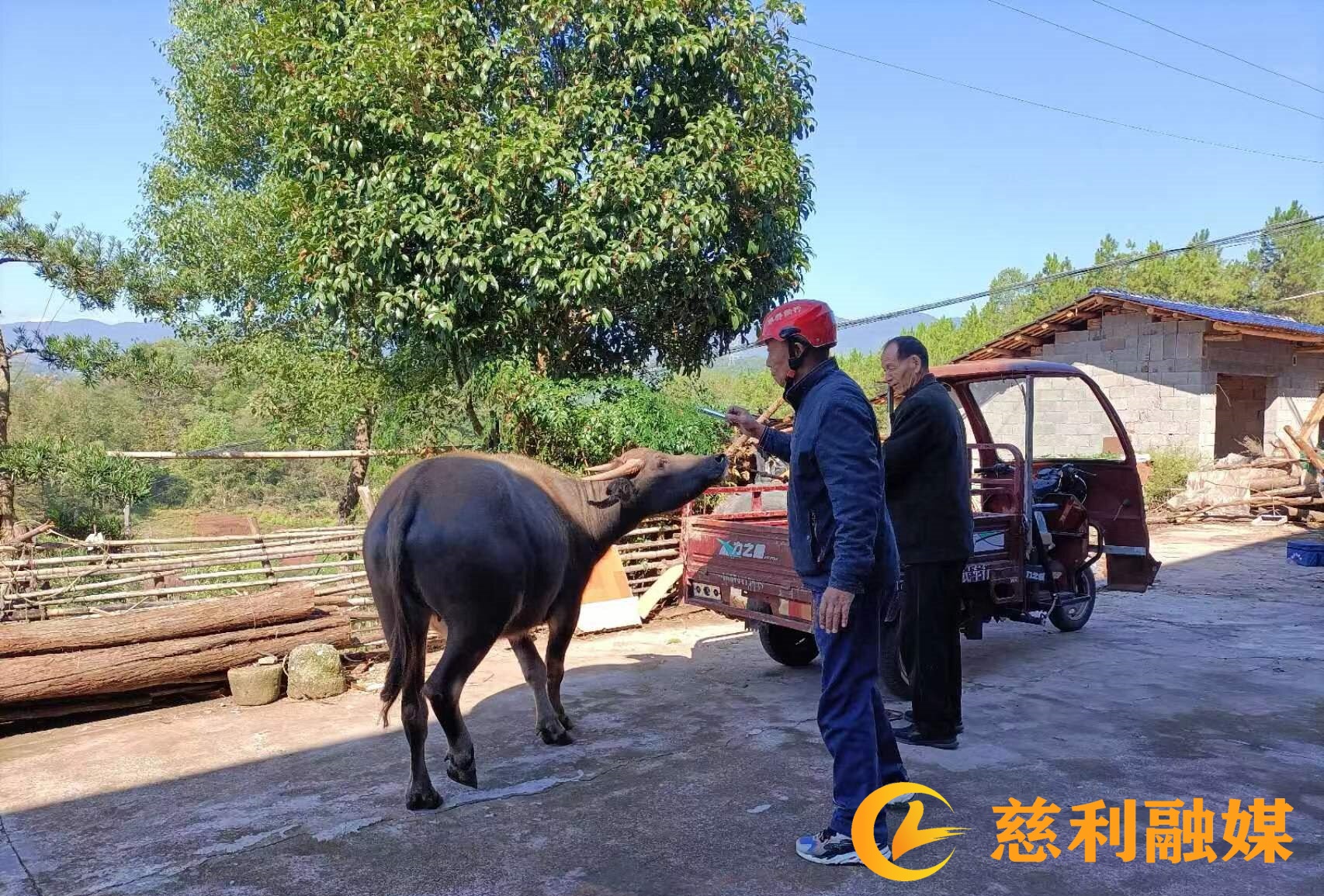 2bec20b1b7258f71e43d470ced4588c_副本.jpg