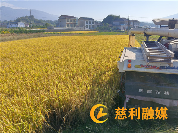 6b49a6148ec3ee336c61d460c1b53f0_副本.jpg