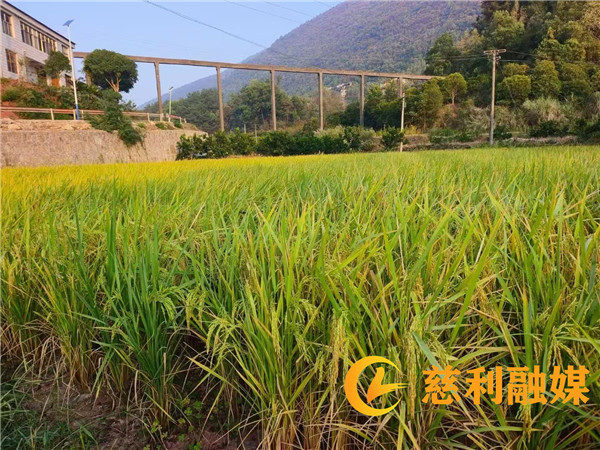 347dacf70674e23d8a3721a65984fee_副本.jpg