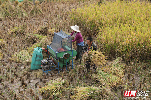 wm (10).jpg wm (10).jpg