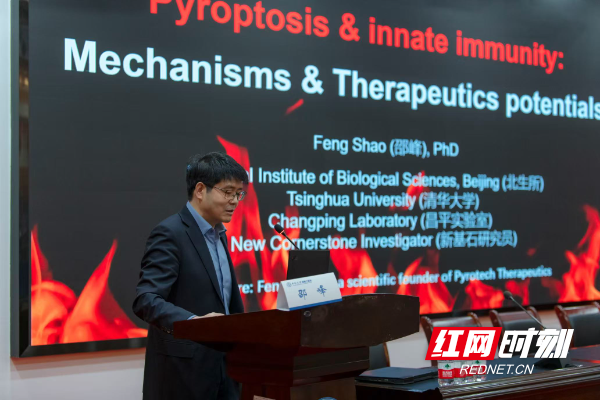 40551730016636_.pic.jpg 40551730016636_.pic.jpg