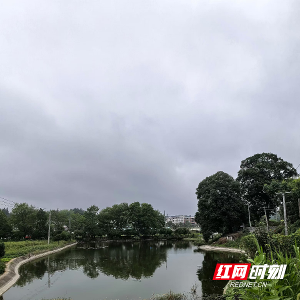 微信图片_20241028101920.jpg 微信图片_20241028101920.jpg