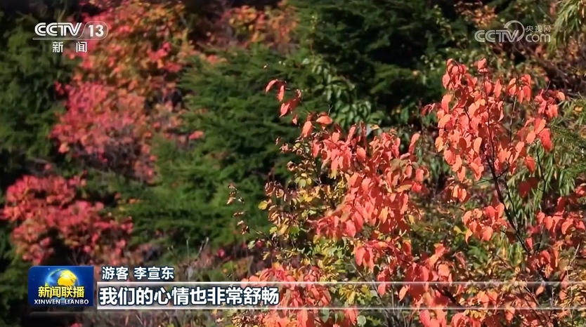 各地陆续进入最美赏秋季