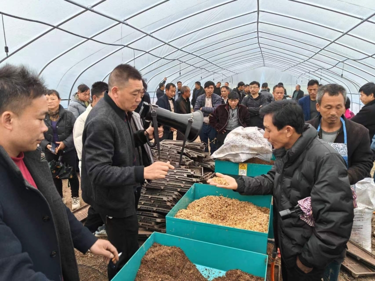 临武万水乡:“六个聚焦六个到位” 全面发挥人大职能图片1.jpg 临武万水乡:“六个聚焦六个到位” 全面发挥人大职能图片1.jpg