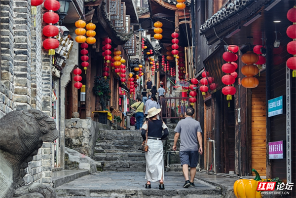 QQ20241101-091422_副本.png QQ20241101-091422_副本.png