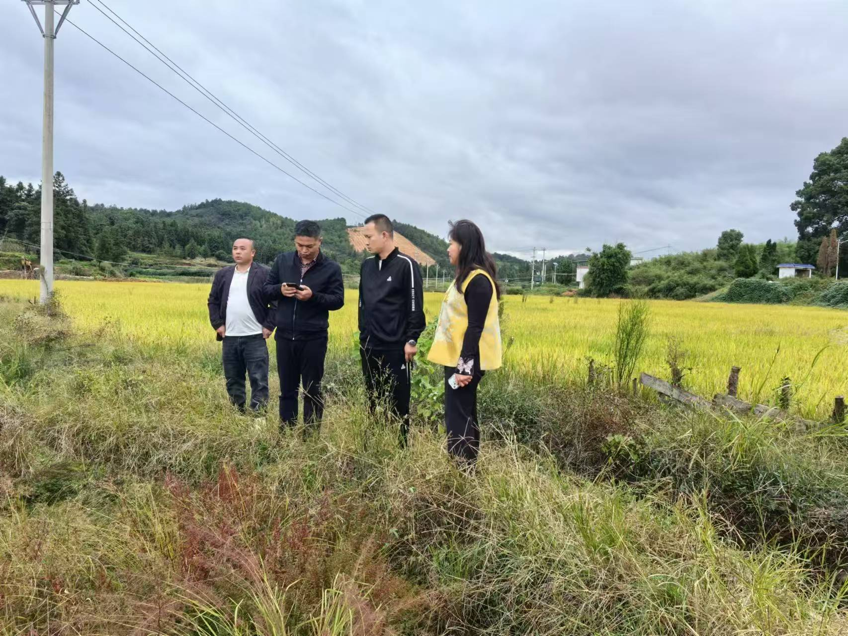 临武南强镇:人大代表齐助力 护航农业发展图片1.png 临武南强镇:人大代表齐助力 护航农业发展图片1.png