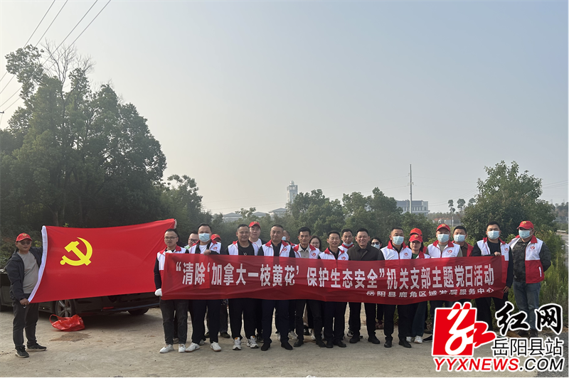 图片2 (35).png
