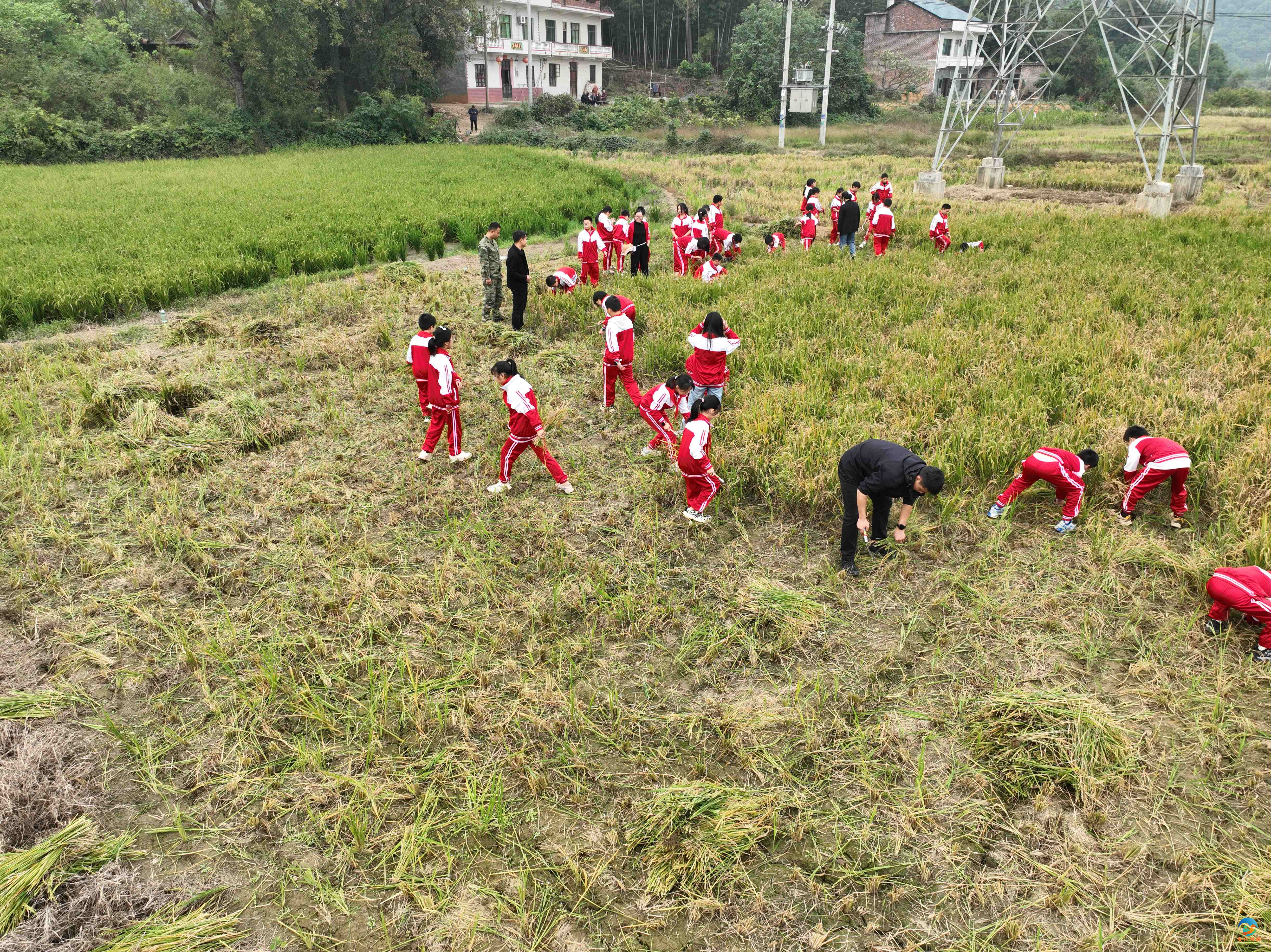DJI_0213_副本.jpg