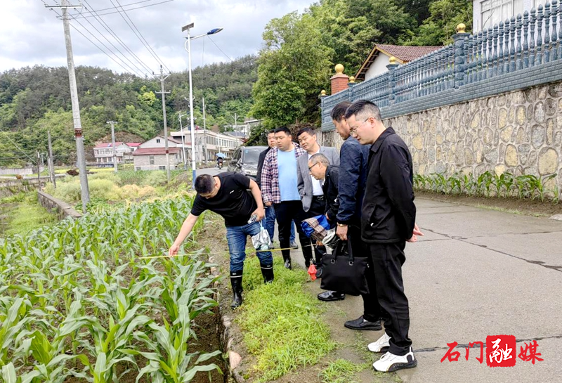 子良镇:改造民生幸福路,搭建干群连心桥4.jpg 子良镇:改造民生幸福路,搭建干群连心桥4.jpg