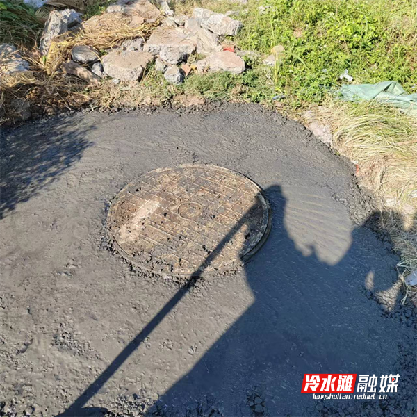 图片A41_副本.png
