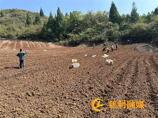 微信1.jpg 微信1.jpg