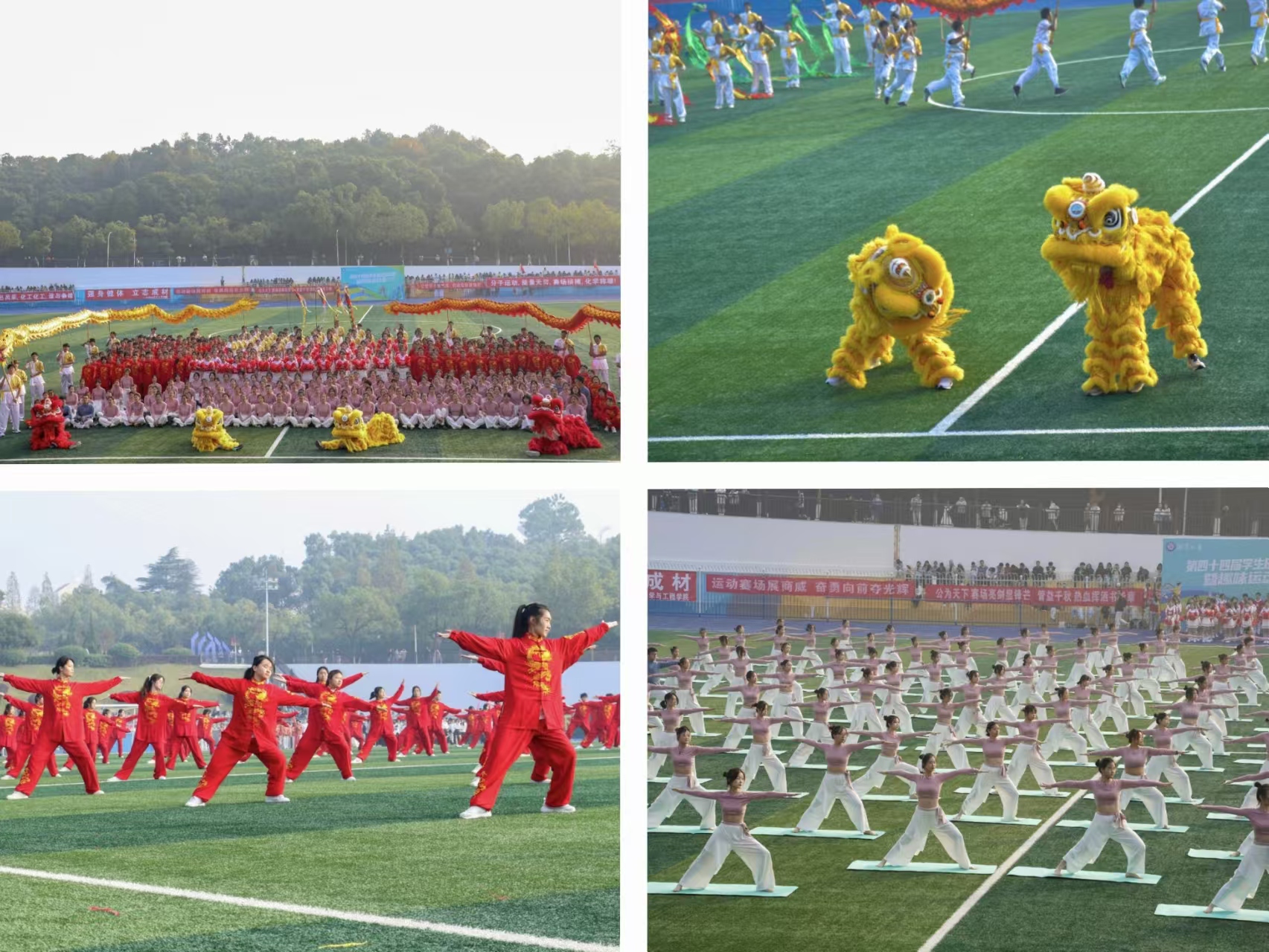 青春飞扬展芳华 湘潭大学学生田径运动会举行1.jpg