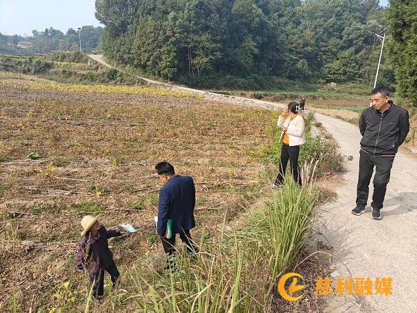 微信图片_20241106121936.jpg 微信图片_20241106121936.jpg