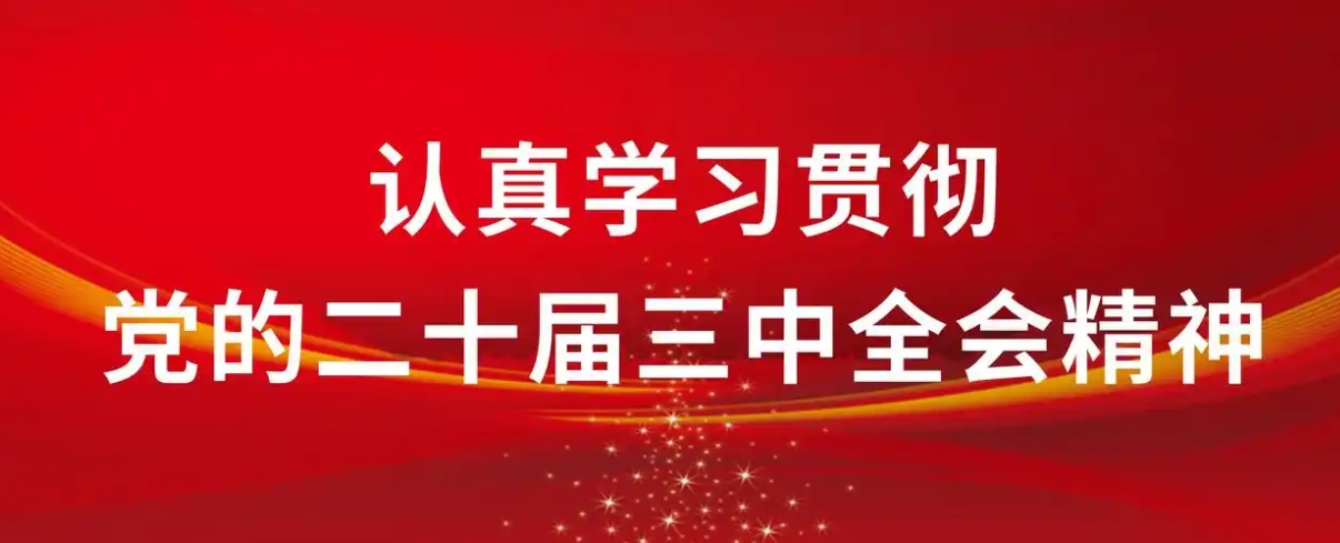 学习贯彻党的二十届三中全会精神