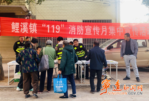宁远开展“119”消防宣传月集中宣传活动_副本500.jpg