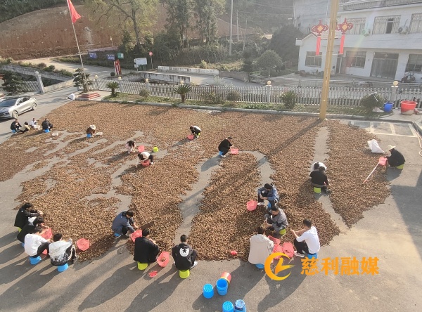 微信图片_20241108114733.jpg